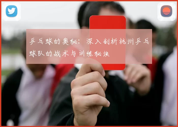 乒乓球的奥秘：深入剖析杭州乒乓球队的战术与训练秘诀