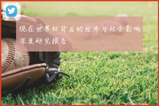 现在世界杯背后的经济与社会影响深度研究报告