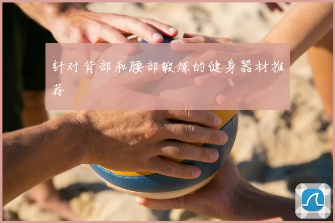 针对背部和腰部锻炼的健身器材推荐