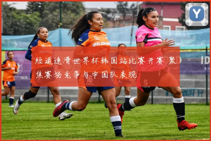 短道速滑世界杯韩国站比赛开赛 聚焦赛场竞争与中国队表现