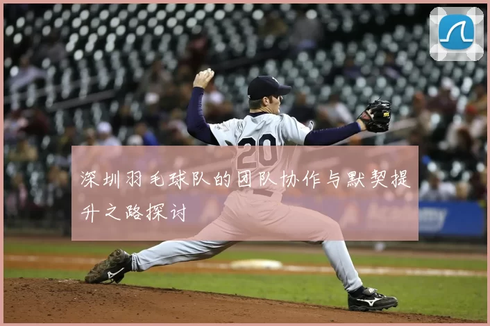 深圳羽毛球队的团队协作与默契提升之路探讨