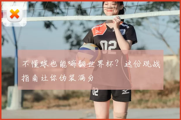 不懂球也能嗨翻世界杯？这份观战指南让你伪装满分