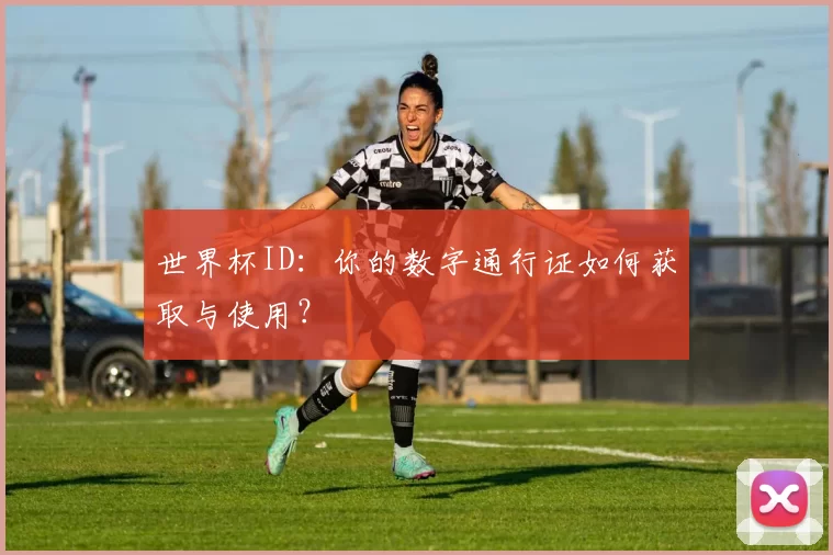 世界杯ID：你的数字通行证如何获取与使用？