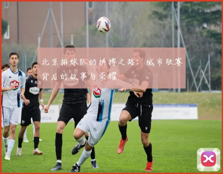 北京排球队的拼搏之路：城市联赛背后的故事与荣耀