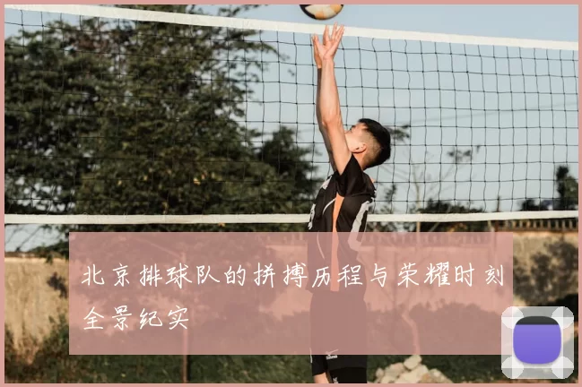 北京排球队的拼搏历程与荣耀时刻全景纪实
