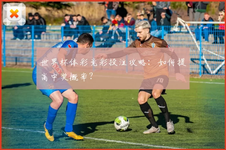 世界杯体彩竞彩投注攻略：如何提高中奖概率？