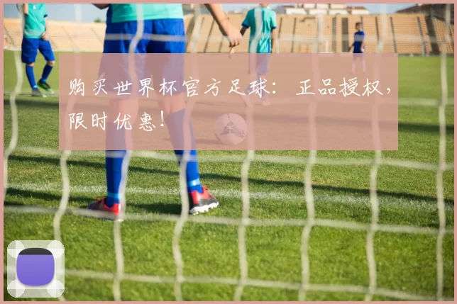 购买世界杯官方足球:正品授权,限时优惠!