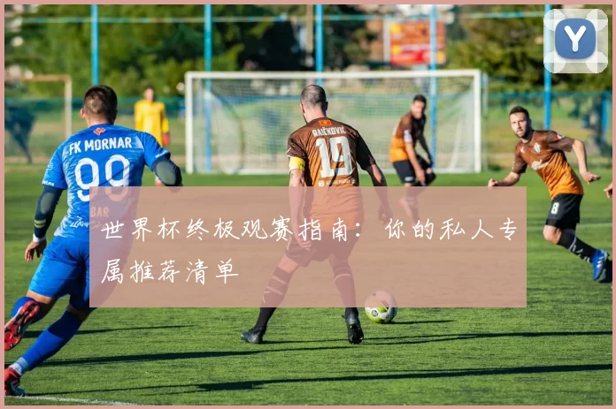 世界杯终极观赛指南：你的私人专属推荐清单