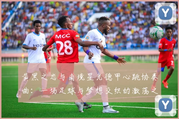 黄黑之恋与南境星光德甲心跳协奏曲:一场足球与梦想交织的激荡之旅