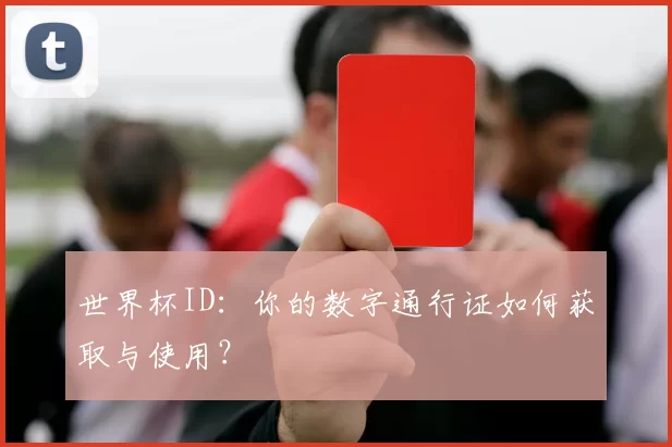 世界杯ID：你的数字通行证如何获取与使用？