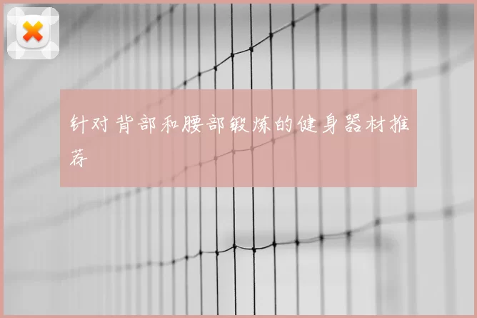 针对背部和腰部锻炼的健身器材推荐