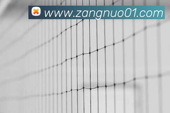 爱游戏APP 高清赛事图